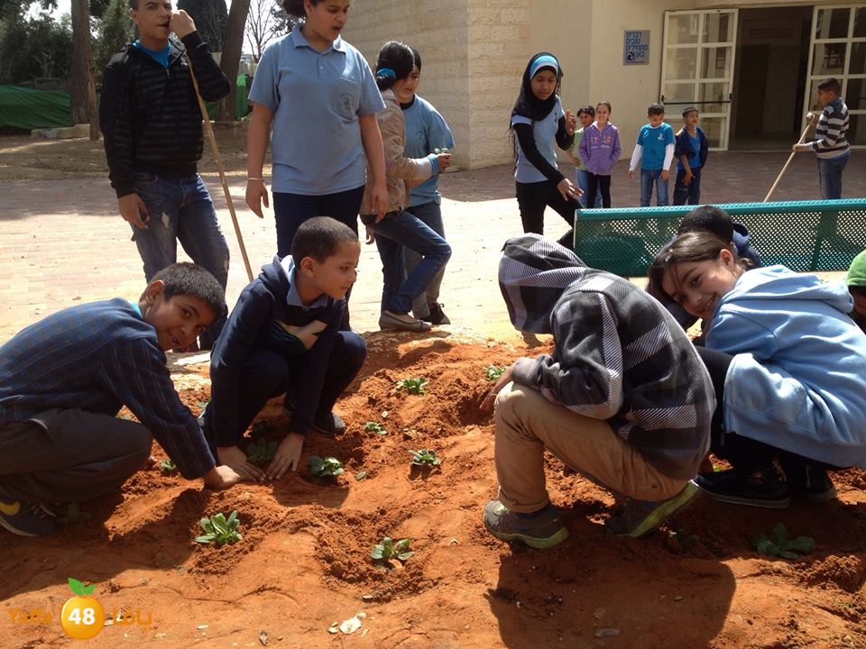 ramla school 0311 (2).jpg